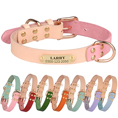 Collares de Piel Auténtica para Perros Personalizados Placa de Identificación con Nombre y Número de Teléfono Grabados Collar Cuero Bicolor para Perro de Razas Pequeñas Medianas Grandes