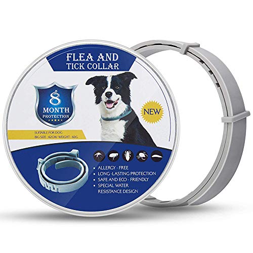 GLEADING Collar Anti Pulgas y Garrapatas para Perros y Gatos, Fórmula Natural, Resistente al Agua y Ajustable-62cm, Efectivo Prevención por 8 Meses de Pulgas y Garrapatas