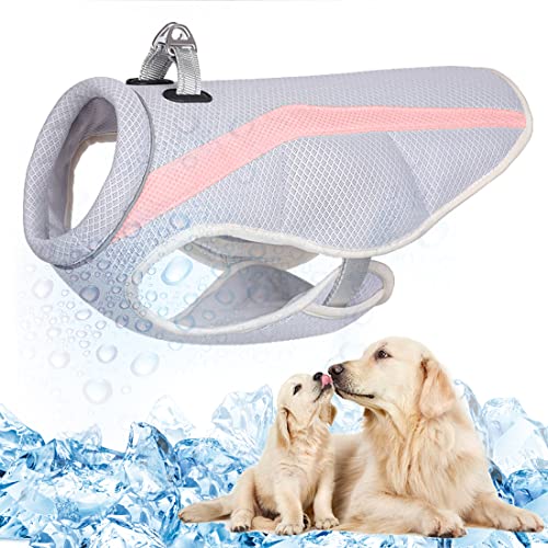 TVMALL Chaleco Refrigeración para Perros Arnés de Malla Transpirable Chaqueta Refrescante para Perros Chaqueta Refrescante y Cómoda Ajustable con Tira Reflectante para Perros Pequeños/Medianos/Grandes