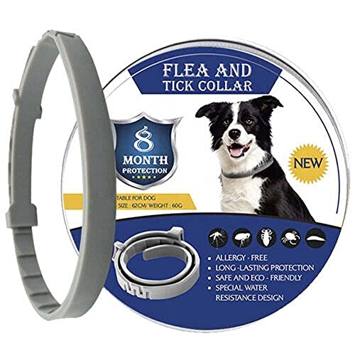 Collar Antipulgas y Antigarrapatas para Perros, 8 Meses de Prevención Collar Impermeable Ajustable, 2 Unidades, Talla única Control De Pulgas y Garrapatas. (Negro)