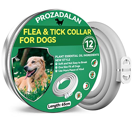 Collar Antipulgas para Perros, Collar Antiparasitario e Impermeable de 65 cm para Perros, Eficaz para Repeler Pulgas y Garrapatas Durante, Apto para Perros Pequeños, Medianos y Grandes(1 PCE)