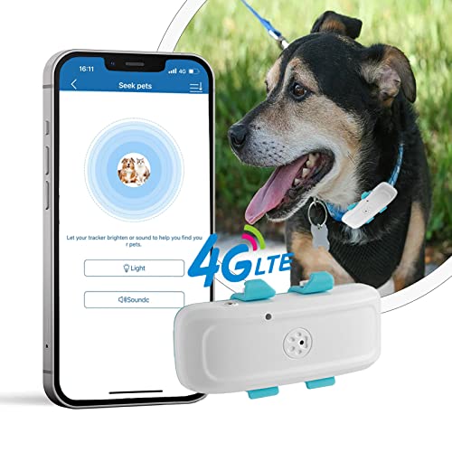 Collar 4G GPS Perros sin suscripción, Alarma y Collar Incorporado, Resistente al Agua con Control App Mini portátil TK911 Pro (TK911 Pro-1)