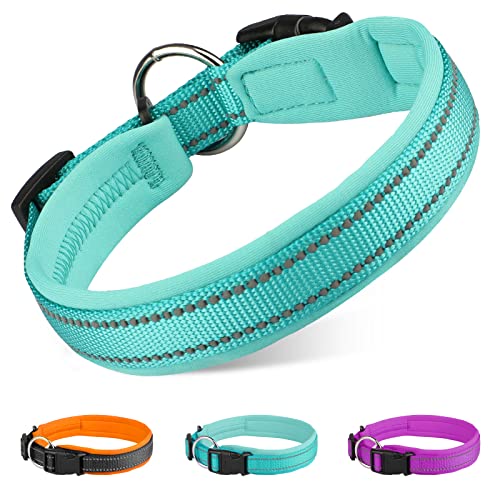 MASBRILL Collar Perro, Collar Ajustable e Reflectantes para Perros PequeñOs Medianos Grandes, Suave Acolchado Nylon Neopreno Collar de Mascota para Caminar Correr Entrenamiento(Azul, M)