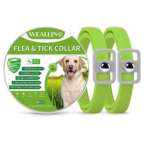 WEALLIN Collar Antiparasitario Perros, Ajustable y Impermeable Collar Antipulgas Perro, Protección de 8 Meses, Aceites Esenciales 100% Naturales para Perros de Todos Los Tamaños, Verde(2 Pcs)