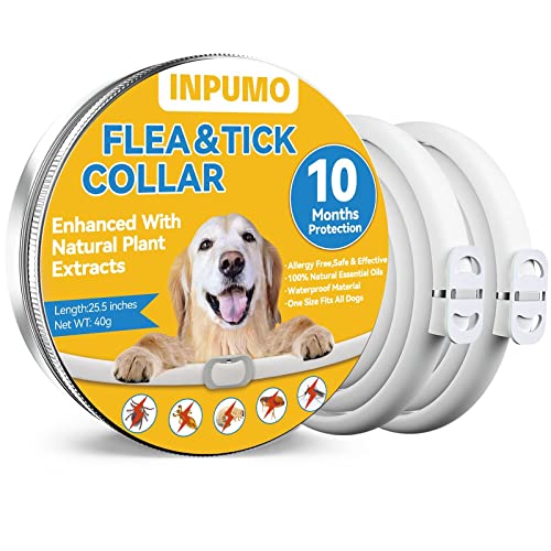 Collar Antiparasitario Perros, Collar Antipulgas Perros, 10 Meses de Protección Collar Antiparasitario Perros Ajustable Impermeable Natural Antipulgas y Garrapatas (2 Pack)