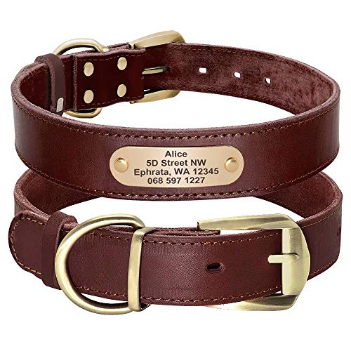 Didog - Collares para Perro de Piel auténtica con Placa de Nombre grabada, Collar de Perro de Cuero Suave Personalizado con Etiqueta de identificación Personalizada