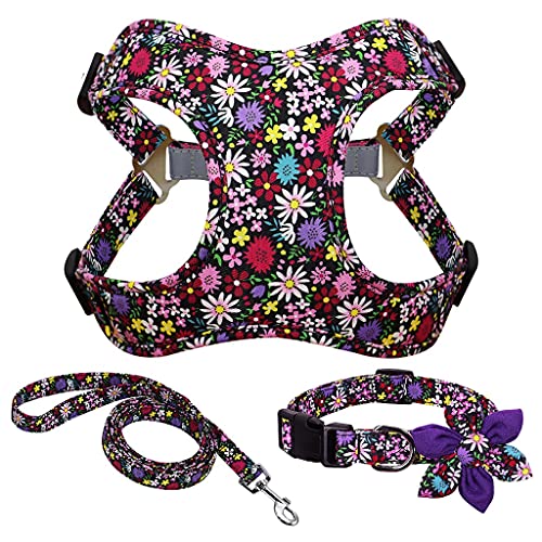 NYCUBE Collar de Perro, Traje de Cuero Y Collar de Caballo Duradero Estampado Traje de Collar de Cuero de Chaleco de Caballo sin Tracción para Perros Pequeños Y Medianos/C/M Código