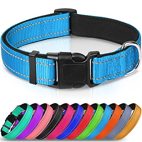 Joytale Collar Perro Reflectante,Nylon Collar Acolchado con Neopreno,Ajustable para Perros Pequeño,30-40cm,Azul