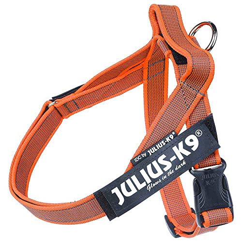 Julius-K9 Arnes Cinta,Color & Gray Size: Mini, Naranja 1 Unidad 600 g