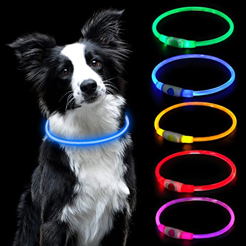 AUAUY Collar Luminoso Perro, Collar LED Perro Recargable por USB Tamaño Ajustable, Collar Luminoso Perro Impermeable Collar de Seguridad Reutilizable para Perros Pequeños Medianos Y Grandes (Azul)