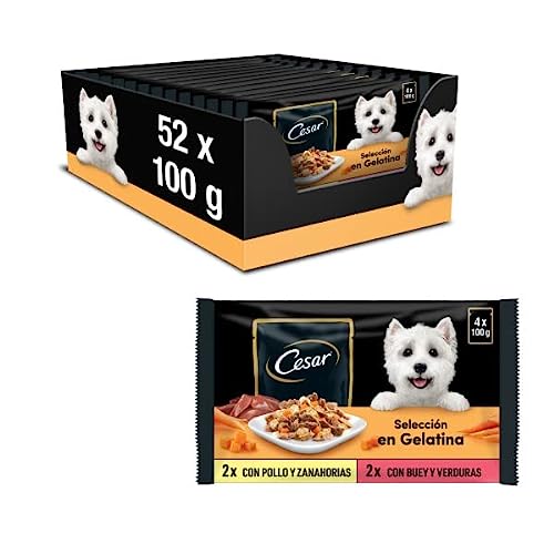 Cesar Comida Húmeda para Perros, Selección Carnes Mixtas en Gelatina, Multipack (13 Packs x 4 Bolsitas x 100g)