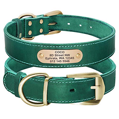 Didog - Collares para Perro de Piel auténtica con Placa de Nombre grabada, Collar de Perro de Cuero Suave Personalizado con Etiqueta de identificación Personalizada