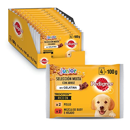 Pedigree Comida húmeda para Perros Junior, Sabor Pollo y Buey con Arroz en Gelatina, Multipack (13 Packs x 4 bolsitas x 100g)