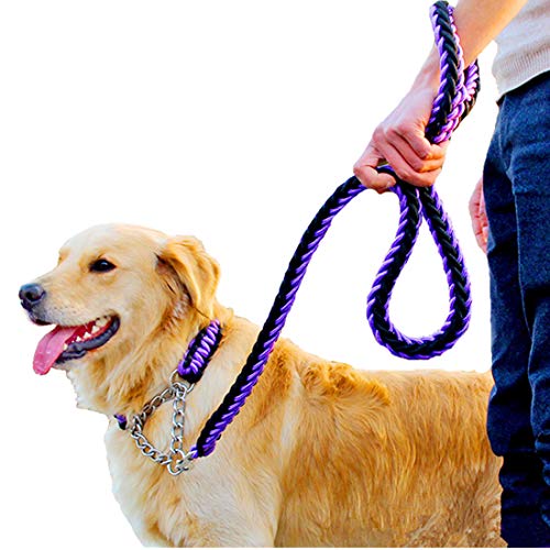 VICTORIE Correa de Perro y Collar Cuerda tracción para Perros Pequeños medianos y Grandes Entrenamiento Training Caminar Paseo Púrpura + Negro M