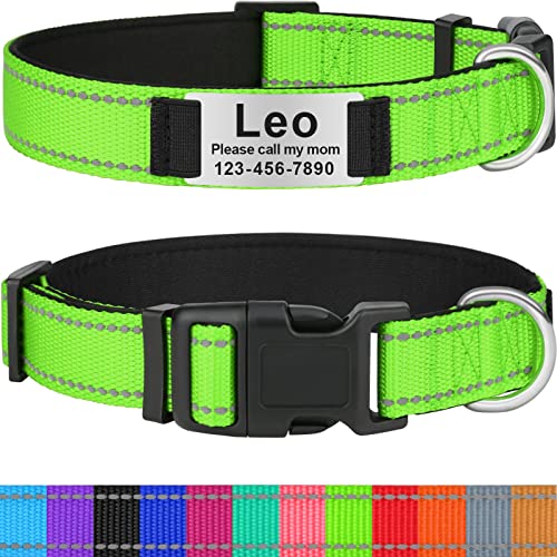 Taglory Collares de Perro Personalizados para Perros Pequeños, Collar de Perro con Placa de Nombre, Collar de Perro Reflectante con Etiqueta de Perro Grabada, Verde