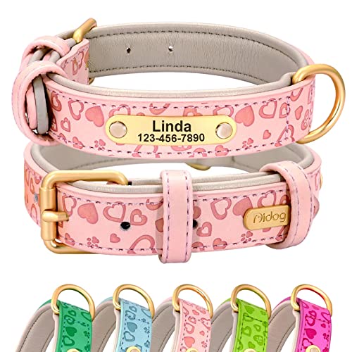 Didog Collar de Perro de Cuero Acolchado Suave y cómodo con Proceso de Repujado - Collar Personalizado para Perros y Gatos Grabado para Mascotas - Vibrante selección de 5 Colores para Todas Las Razas