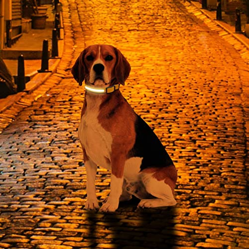 Collar Luminoso Perro Recargable USB con LED, Tamaños XS-XL. Collar Luz Perro - Collar LED Perro - Collar Perro Luminoso - Luz Perro Noche (XL, Amarillo)