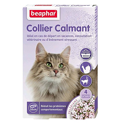 BEAPHAR – NO Stress – Collar calmante de valeriana para Gatos – Reduce el estrés y los Problemas de Comportamiento sin dependencia ni somnolencia – 1 Collar de 35 cm – 4 semanas de acción