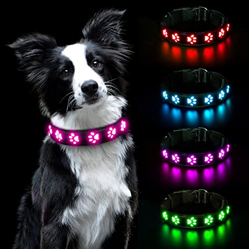 AUAUY Collar Luminoso Perro, Collar Luminoso Impermeable Recargable por USB, Ajustable Collar LED Perro para Perros Pequeños Medianos Grandes Que Caminan de Noche con Seguridad (Rosa-S)