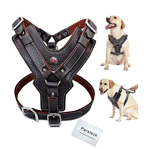 Wishdeal Arnés de cuero genuino para perros grandes, duradero, ajustable, para perros y perros de control rápido con mango suministros para mascotas para K9 Labrador (M)