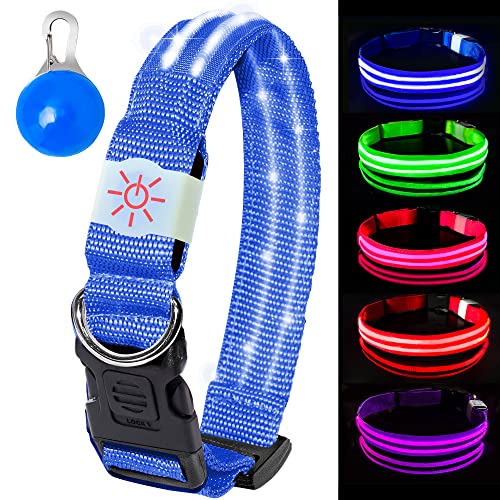 Collar Luminoso Perro de Mascota, 3 Modos Collar Luz Perro con Recargable y Impermeable, Ajustable Collares LED para Perros Pequeños/Medianos/Grandes