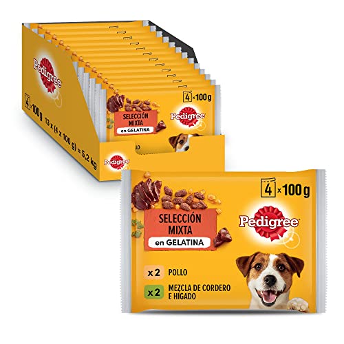 Pedigree Comida Húmeda para Perros en Gelatina Sabores Pollo y Cordero, Multipack (13 Packs x 4 bolsitas x 100g)