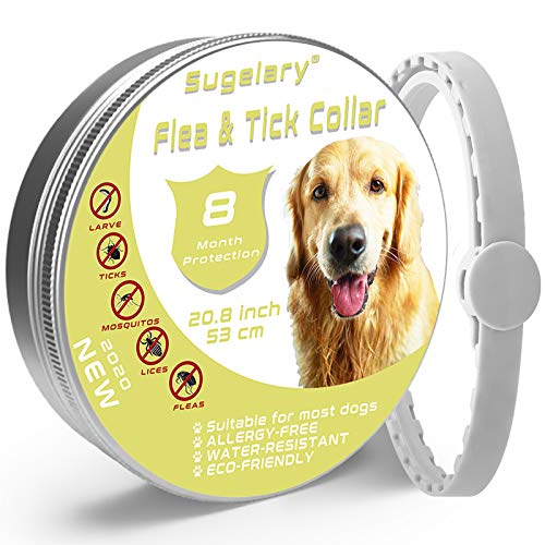 Sugelary Collar Antiparasitario para Perros - 8 Meses Prevención de Pulgas y Garrapatas - Estable, Duradero e Impermeable 1Pack