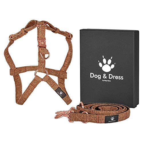 Dog & Dress Set de Arnes y Correa - Correa Tweed con Nylon para Perro, Cachorro y Canino - Ajustable en 3 Niveles, Cierres Mosquetón Oro Rosa, Cierre de Clic - Pequeño, Perímetro de Pecho 39-53cm