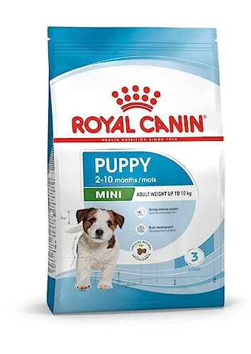 Royal Canin Mini Puppy | 2 kg | Pienso para Perros pequeños | Peso Final hasta 10 kg | hasta 10 Meses de Edad | para Las defensas del organismo y el Desarrollo del Cerebro