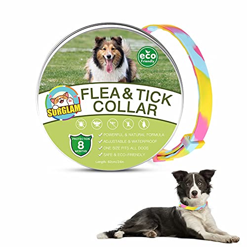 Collares Antiparasitario para Perros, Collar Antipulgas Perros, Collar De Pulgas y Garrapatas para Perro, Ajustable Impermeable de 8 Meses de Protección para Perros de Todos Los Tamaños Arco Iris