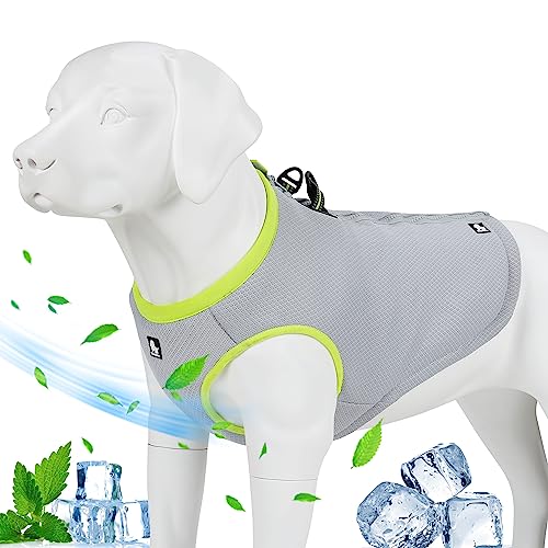 MOKCCI Truelove Chaleco con arnés de refrigeración para perros, con cremallera ajustable para entrenamiento de caza y camping