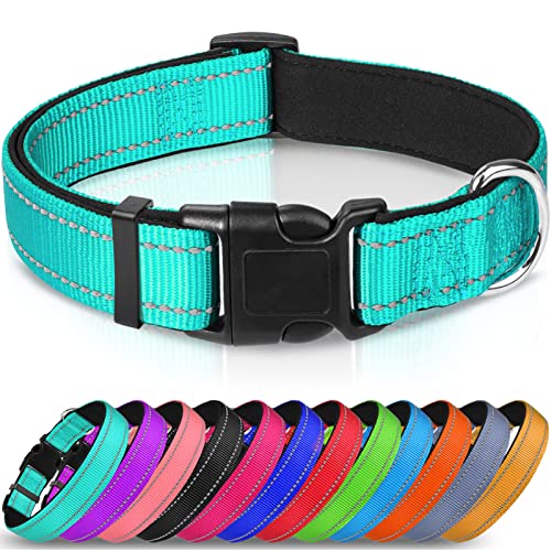 Joytale Collar Perro Reflectante,Nylon Collar Acolchado con Neopreno,Ajustable para Perros Mediano,35-50cm,Verde Azulado