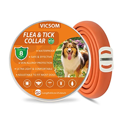 Collares Antiparasitario para Perros, Collar Antipulgas Perros, Collar de Pulgas y Garrapatas para Perro Impermeable Regulable, Válido 8 Meses para Perros de Todos los Tamaños Naranja 1Pcs