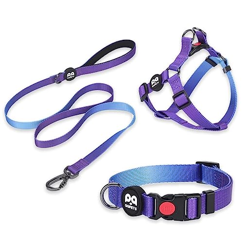 ASTORPET | Conjunto: Collar Perro, Arnés Perro Step-In y Correa Perro. Ajustable, Ligero, Cómodo y Seguro. Accesorios para Perros. Ideal para Perro pequeño, Mediano y Grande, hasta 40 kg. Sunset - L.