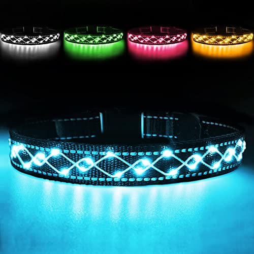 Collar Luminoso Perro de Mascota -3 Modos Collar Perro Luz con Recargable y Impermeable-Ajustable Collares LED para Perro y Gato (Azul)