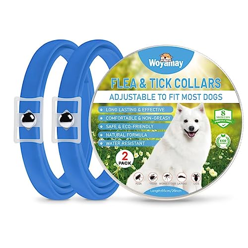 Collar Antiparasitario Perros, Collar Antipulgas Perros Natural, Eficaz Collar Perro Antiparasitario, Válido para 8 Meses, 65cm Impermeable Anti Garrapatas para Perros De Todos Los Tamaños, 2 Pcs