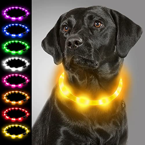 Joytale Collar Luminoso Perro, Collar para Mascotas LED Ajustables con Luz, Collares Recargable USB para Perros Pequeños, Medianos y Grandes, Amarillo