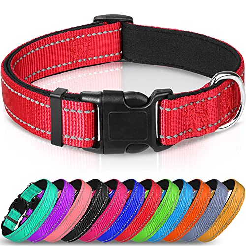 Joytale Collar Perro Reflectante,Nylon Collar Acolchado con Neopreno,Ajustable para Perros Pequeño,30-40cm,Rojo