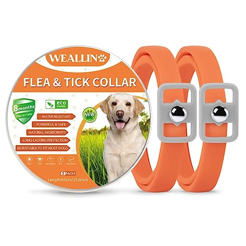 WEALLIN Collar Antiparasitario Perros, Ajustable y Impermeable Collar Antipulgas Perro, Protección de 8 Meses, Aceites Esenciales 100% Naturales para Perros de Todos Los Tamaños, Naranja(2 Pcs)