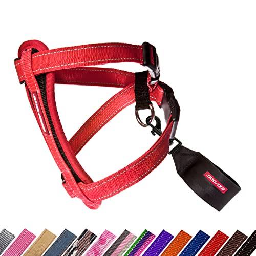 EzyDog – Placa de Pecho arnés, Doble Extra pequeño – < 3 kg, Cuello Cuero < < De 28 cm, 30 cm, Rojo