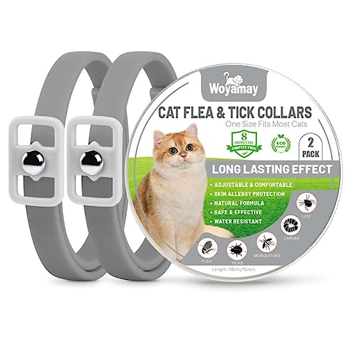 Woyamay Collar Antiparasitario Gatos, Collar Antipulgas Gatos Collar Antipulgas y Garrapatas, Ajustable Resistente Al Aqua, 8 Meses de Protección, para Qualquier Tamaño de Gato, Gris (2 Unidades)