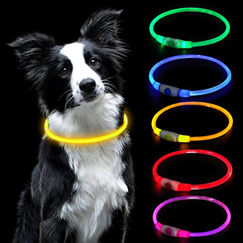 AUAUY Collar Luminoso Perro, Collar LED Perro Recargable por USB Tamaño Ajustable, Collar Luminoso Perro Impermeable Collar de Seguridad Reutilizable para Perros Pequeños Medianos Y Grandes (Amarillo)