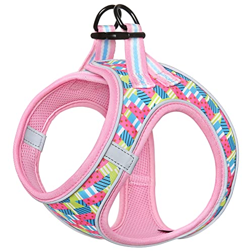 HEELE Arnes Perro Arnes Chaleco Perros Vest Air Mesh Arnés para Perro Arnes Perro con Bonito Estampado Arnés para Perro Pequeño Malla Transpirable Suave Cómodo Reflectante, Floral Fresa, S