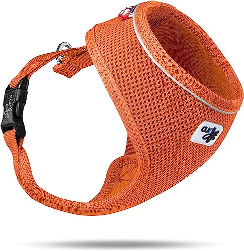 Basic Harness Air-Mesh Orange M