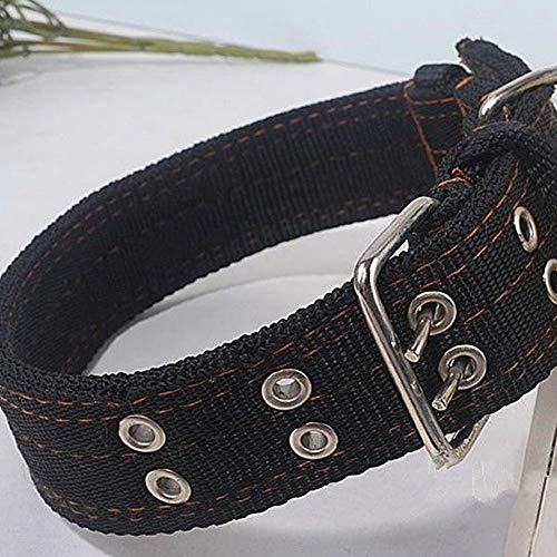 Zantec Collar clásico ajustable de nailon para perro de talla mediana y grande, negro L