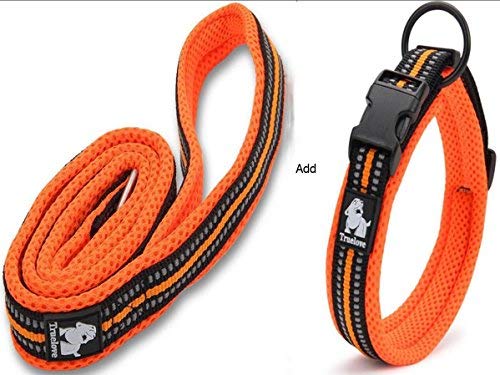 Vivi Bear Acolchado Suave Malla Transpirable Collar de Perro con 3M Noche Reflectante reflejando Rayas cómodas y Suave Collar Ajustable para Perros pequeños/medianos/Grandes, 5 Colores 8 tamaños