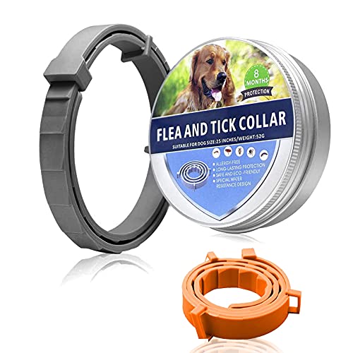 Collar para Mascotas, prevención de pulgas y garrapatas para Perros, Collar de Gato Natural, Ajustable/Resistente al Agua/Seguro para la Familia - 8 Meses de protección, Talla única