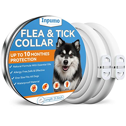 Collar Antiparasitario Perros, Collar Antipulgas Perros, Mejorado con Aceites Esenciales Naturales 10 Meses Impermeable y Protección Ajustable para Perros Pequeños Medianos Grandes 65 cm (2 Paquete)