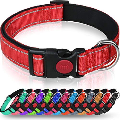 Taglory Collar Perro, Collar Nylon Reflectante Neopreno Forrado Ajustable para Perros Pequeños, Rojo