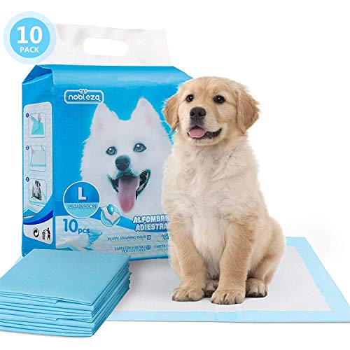 Nobleza - 100 x Empapadores Perros Alfombrilla higiénica de Entrenamiento para Perros. Ultraabsorbente 90cm*60cm